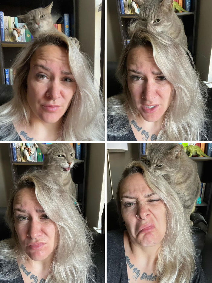 This Girl Often Sneaks Into My House, Eats My Cats Food, Naps On My Favorite Chair And Violently Tries To Style My Morning Bed Head While Try To Peacefully Drink Coffee. She Is Not My Cat. She Is Chaos