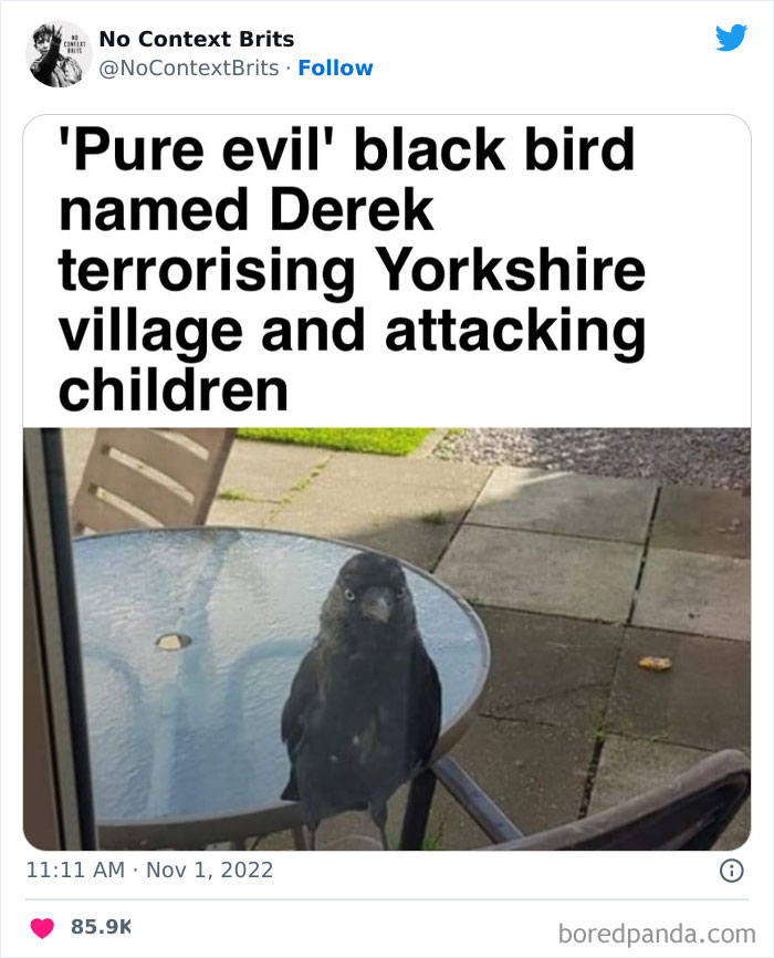 Funny-British-Humour-No-Context-Brits