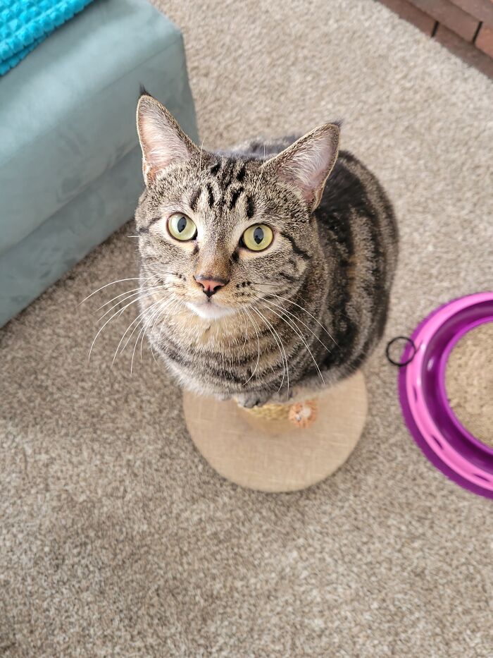 Thebes The Magnificent