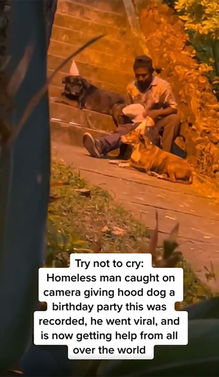 Homeless Man Throws Birthday Party For Dogs