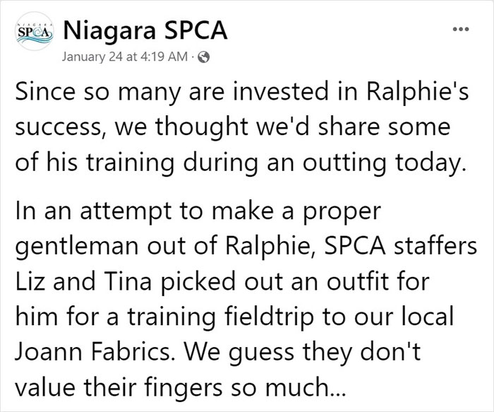 Animal Shelter Can't Say Much Good About This French Bulldog So They Make Up A Great Post Exposing His Shortcomings In Detail