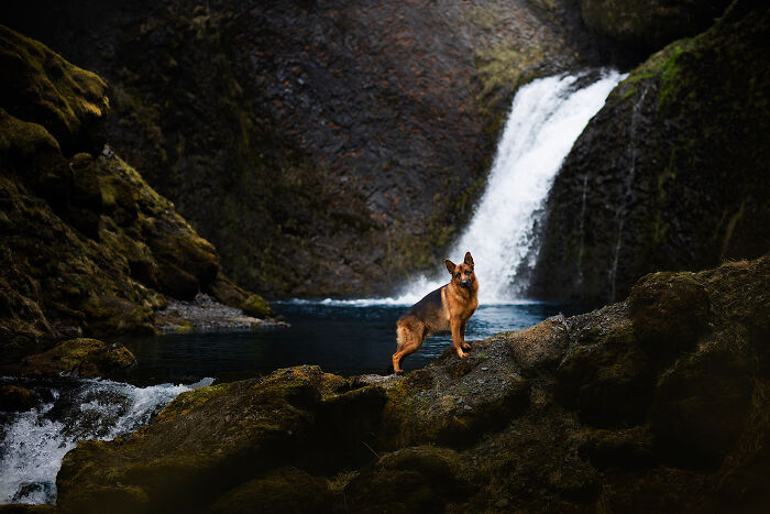 Hidden Waterfall At Þakgil