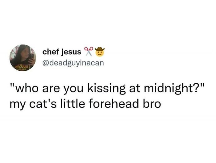 Funny-Cat-Jokes-Memes-Meow-Incorporated