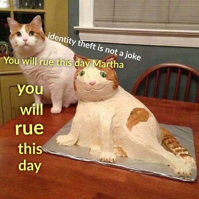 Funny-Cat-Jokes-Memes-Meow-Incorporated