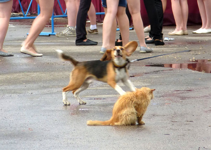 25 Comportamientos y señales claras de que alguien no fue bien educado en su infancia