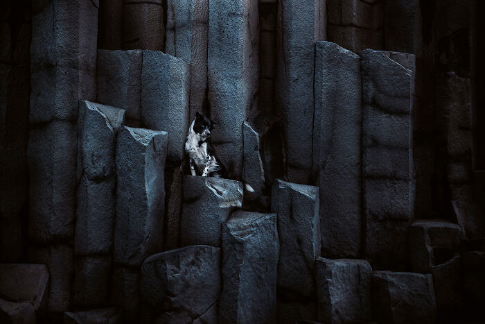 Black Columns And Lotta