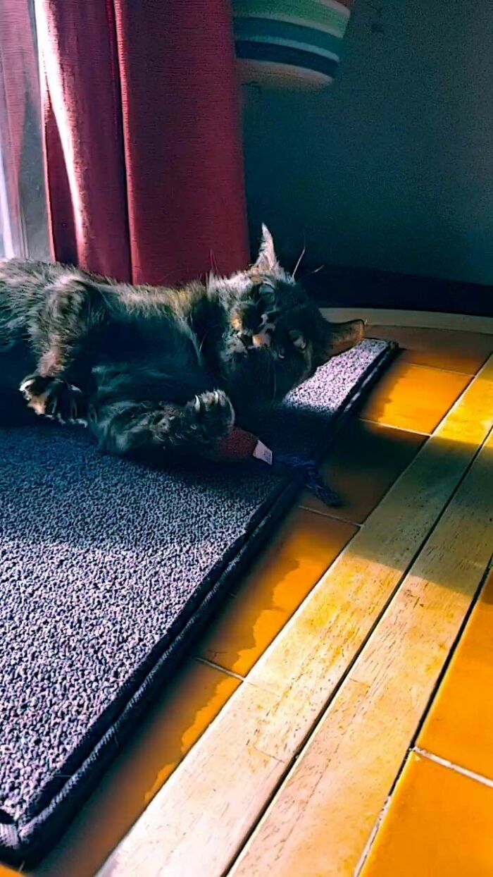 I Don't Know What She Saw But It Shocked Her To Very Core