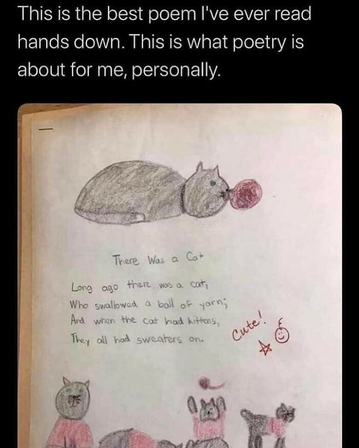 Funny-Cat-Jokes-Memes-Meow-Incorporated