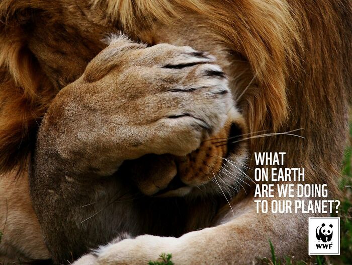32 Powerful Wwf Ads To Save Animals