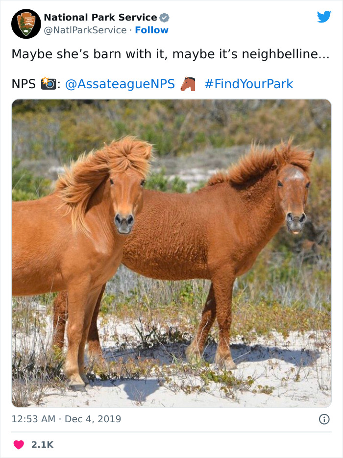 Funny-National-Park-Service-Twitter