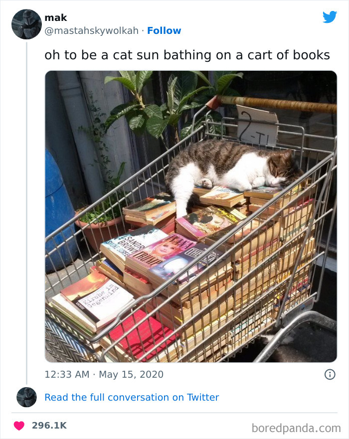 Funny-Cat-Jokes-Memes-Meow-Incorporated