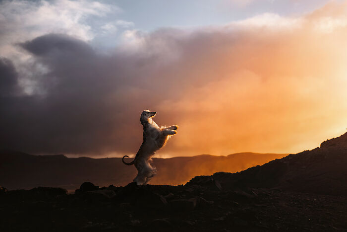 Burning Sky At Dyrhólaey