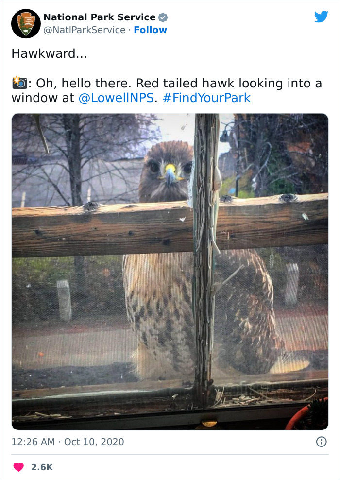 Funny-National-Park-Service-Twitter