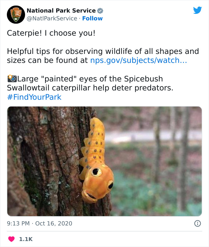 Funny-National-Park-Service-Twitter