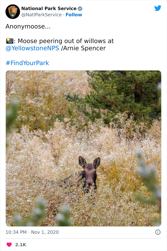 Funny-National-Park-Service-Twitter