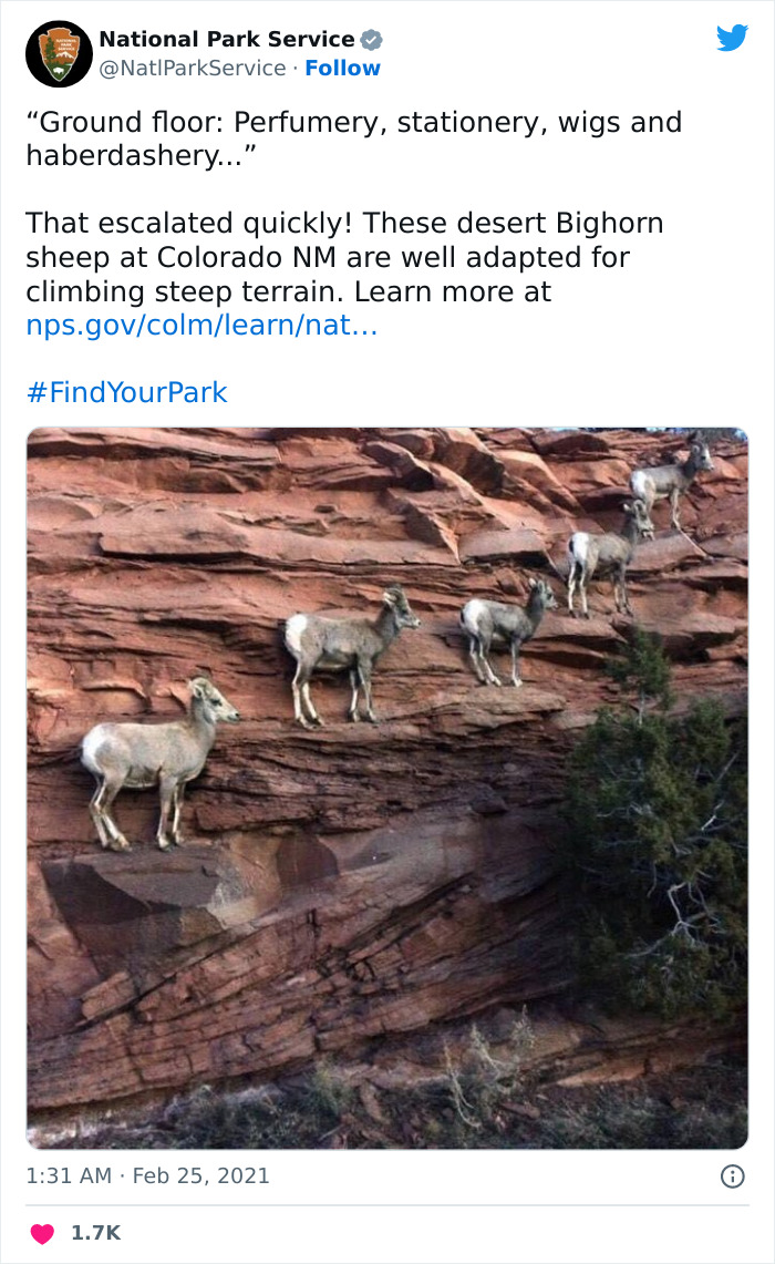 Funny-National-Park-Service-Twitter