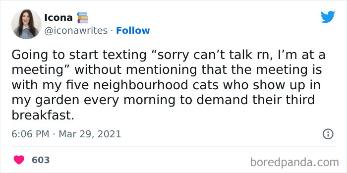 Girlsmeettheinternet