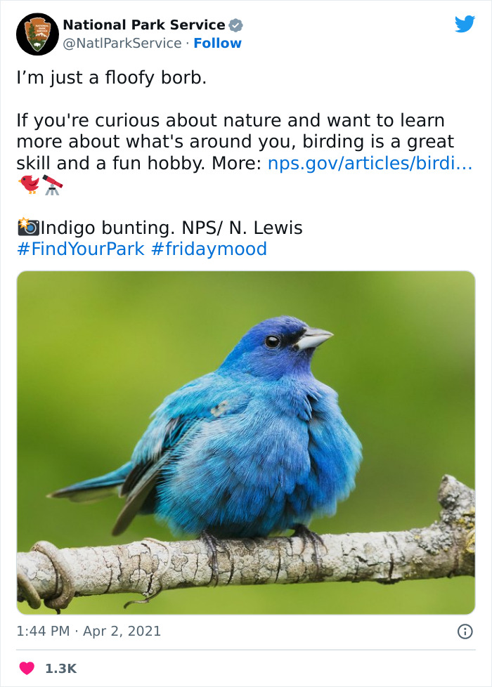 Funny-National-Park-Service-Twitter