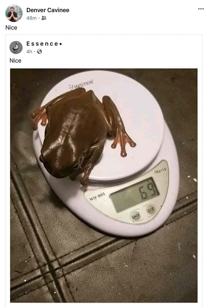 Funny-Weird-No-Context-Pics