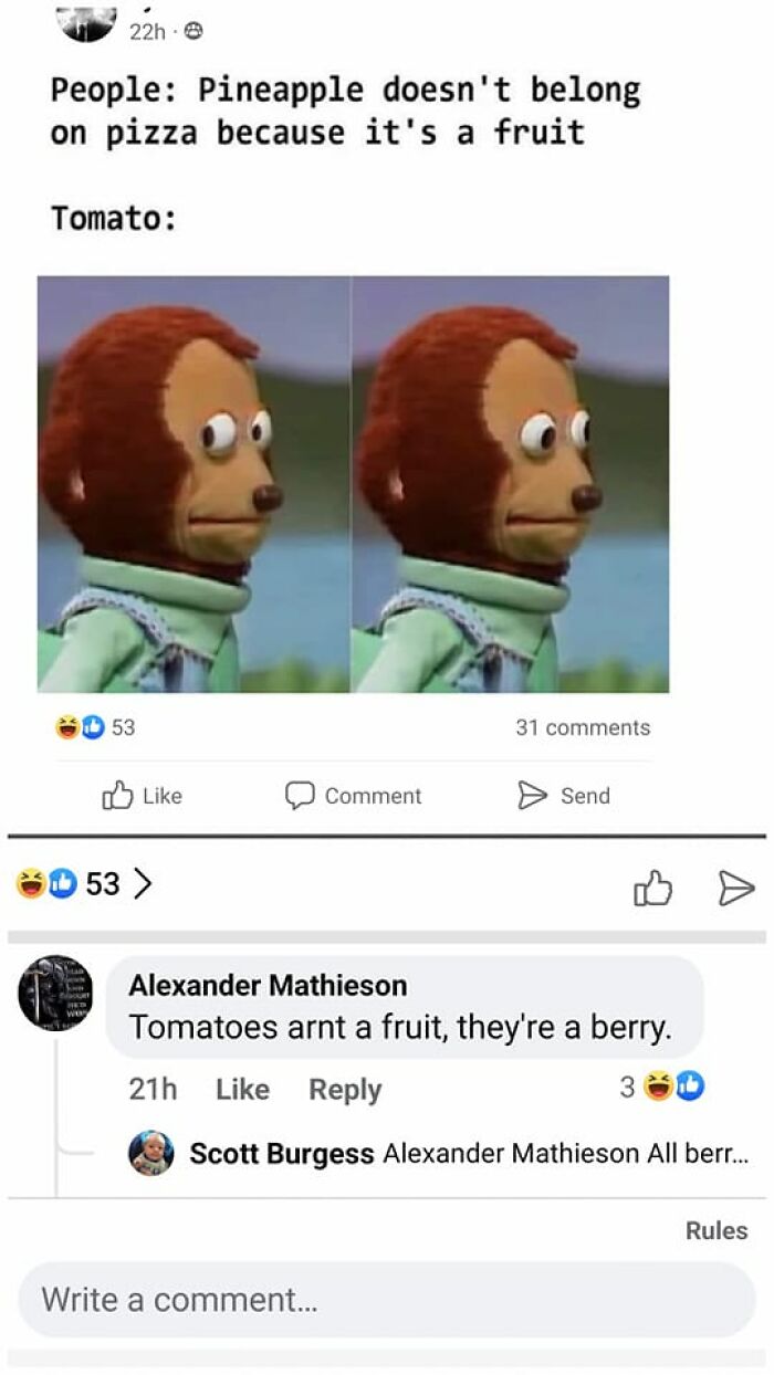 Olives And Peppers Are Also Fruits