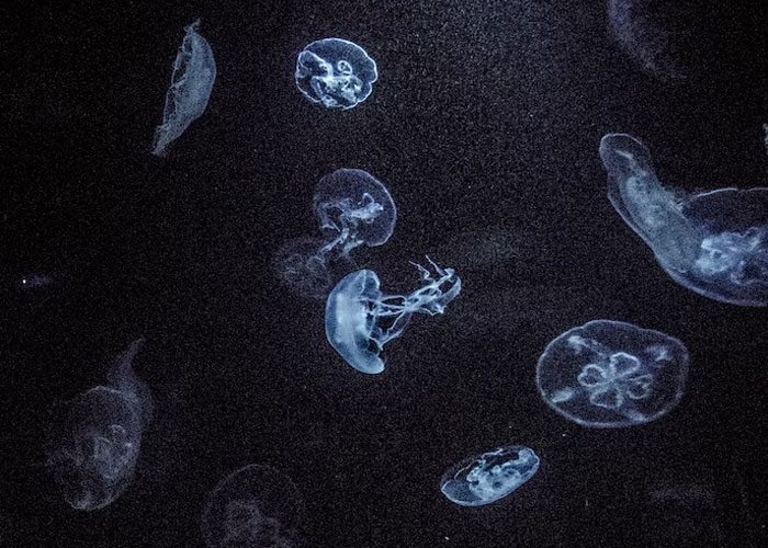 "My Native Language Doesn't Have The Word For It": 35 People Share What Words In Foreign Languages They Absolutely Love Using