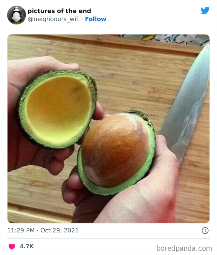 50 Funny And Bizarre Photos Shared On The "Pictures Of The End" Twitter Page (New Pics)