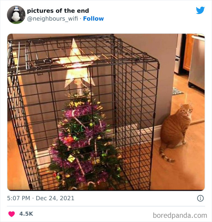 50 Funny And Bizarre Photos Shared On The "Pictures Of The End" Twitter Page (New Pics)