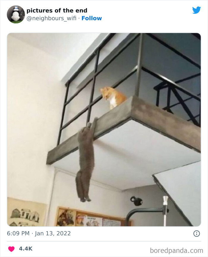 50 Funny And Bizarre Photos Shared On The "Pictures Of The End" Twitter Page (New Pics)