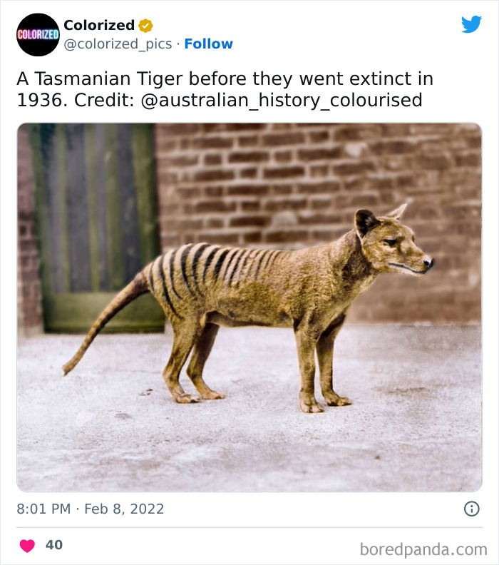 Colorized-Black-And-White-Historical-Pictures