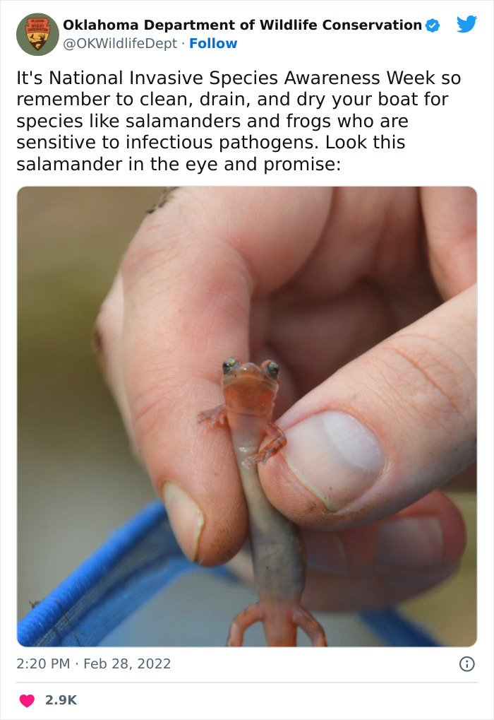 Oklahoma-Wildlife-Conservation-Department-Twitter