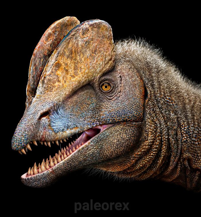 Detailed illustration of a long-extinct animal showing realistic textures and features in a paleontological artwork.