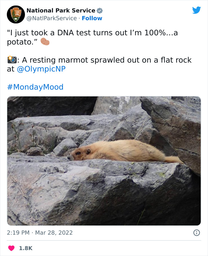 Funny-National-Park-Service-Twitter