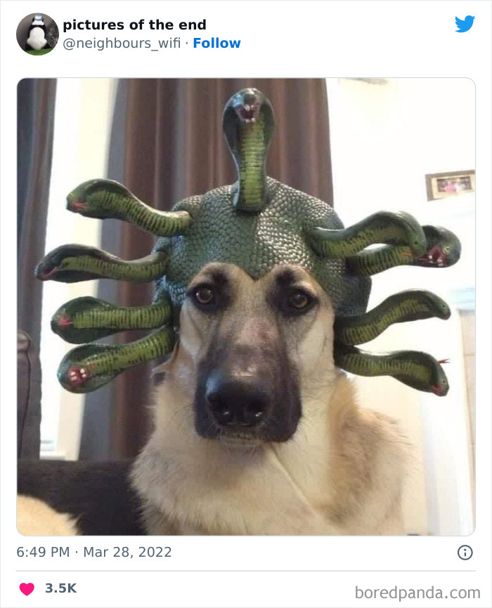 50 Funny And Bizarre Photos Shared On The "Pictures Of The End" Twitter Page (New Pics)