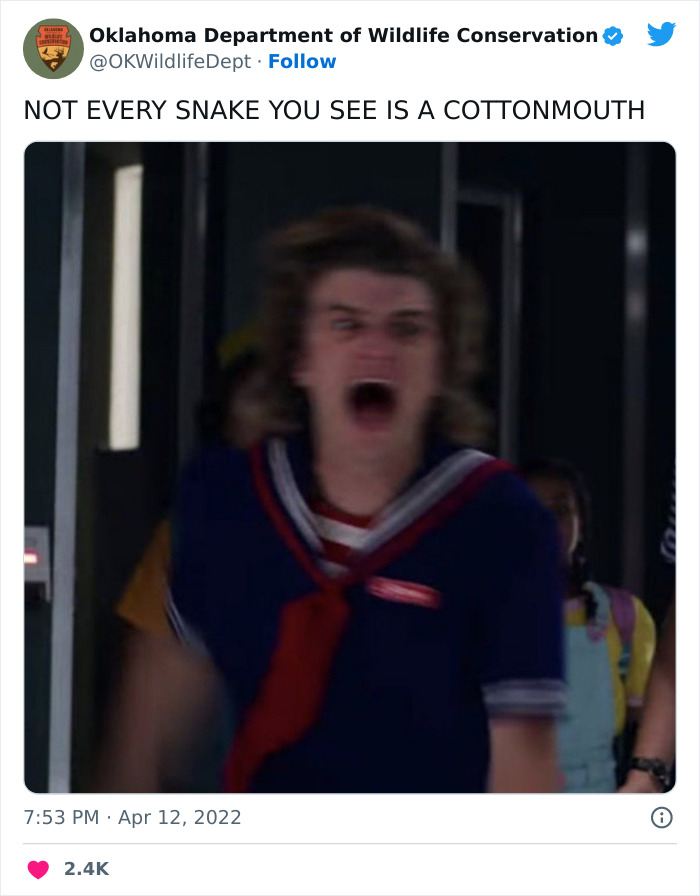 Oklahoma-Wildlife-Conservation-Department-Twitter