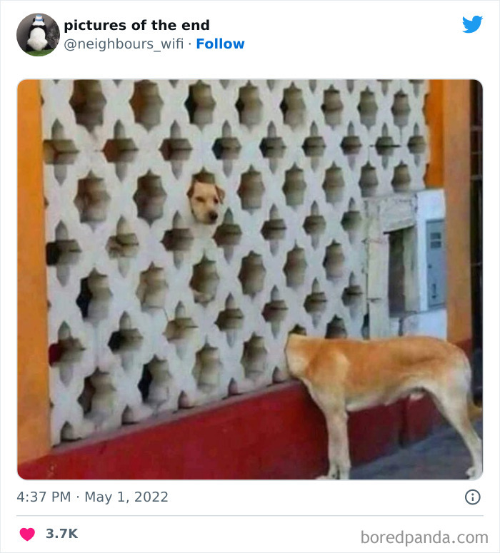 50 Funny And Bizarre Photos Shared On The "Pictures Of The End" Twitter Page (New Pics)