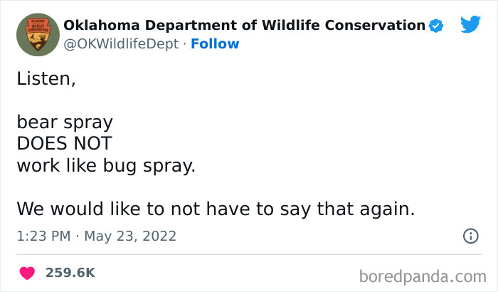 I Desperately Want The Backstory Behind This