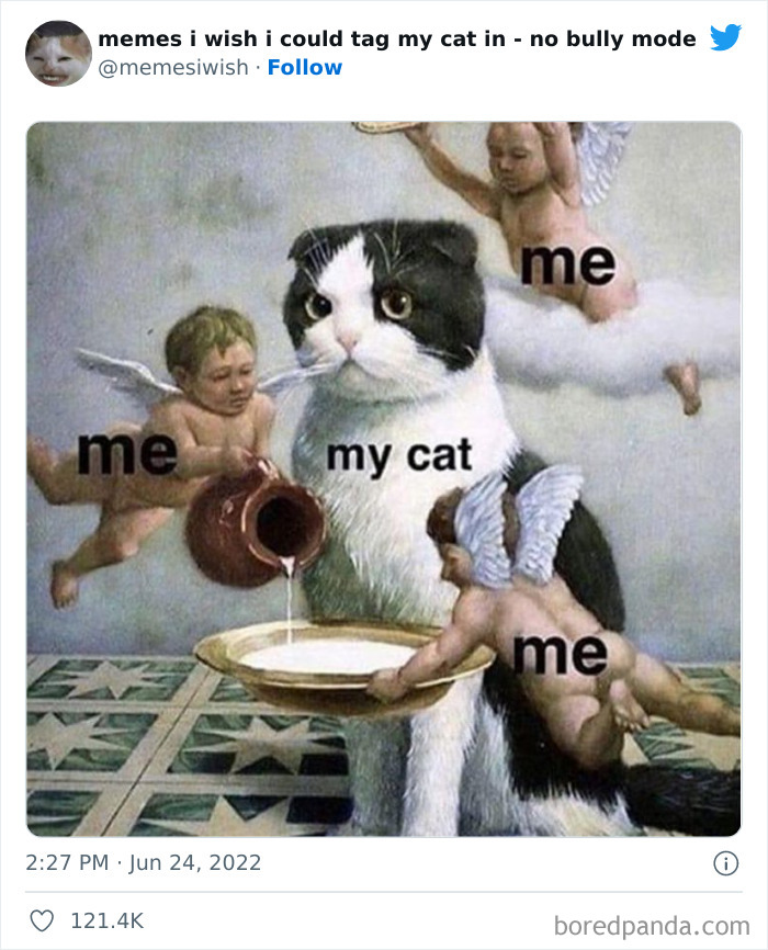 Wtf, We Can Add Submissions To This List Now?? Here's A Cute Meme For Y'all !