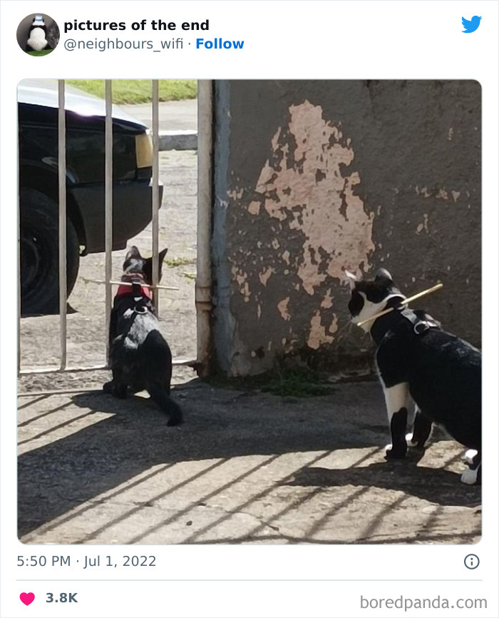 50 Funny And Bizarre Photos Shared On The "Pictures Of The End" Twitter Page (New Pics)