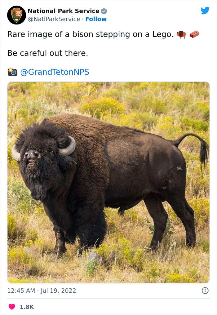 Funny-National-Park-Service-Twitter