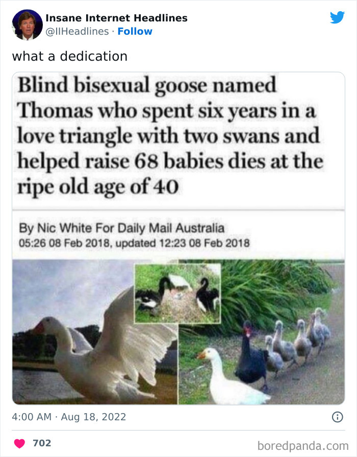 Funny-Insane-Internet-Headlines