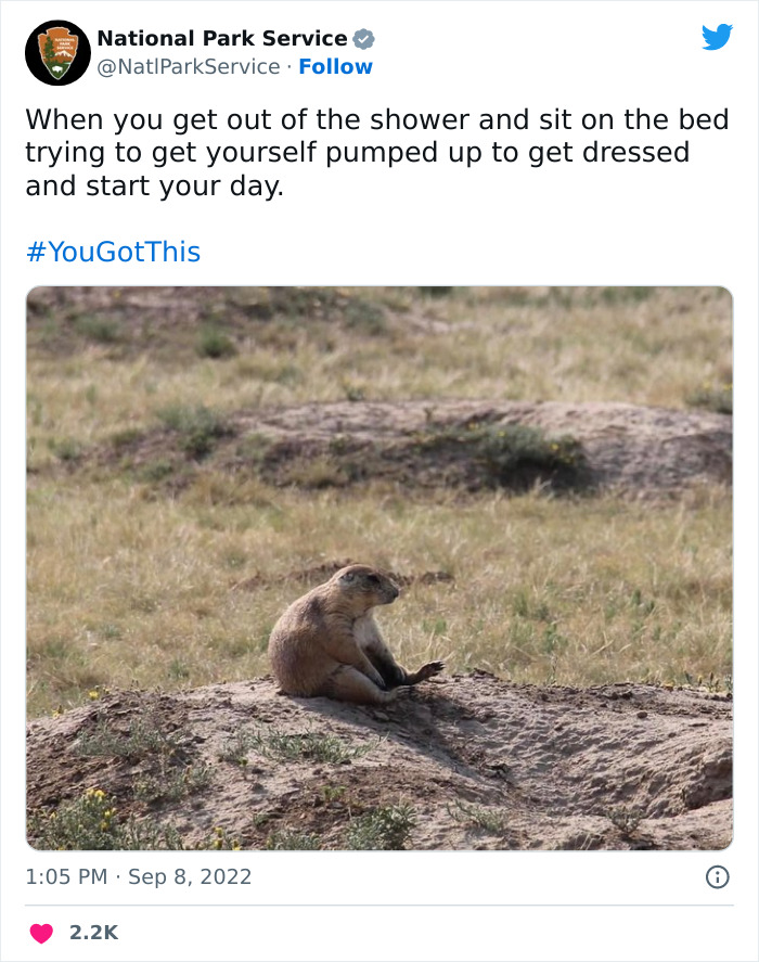 Funny-National-Park-Service-Twitter