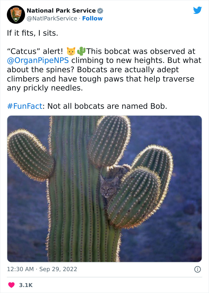 Funny-National-Park-Service-Twitter