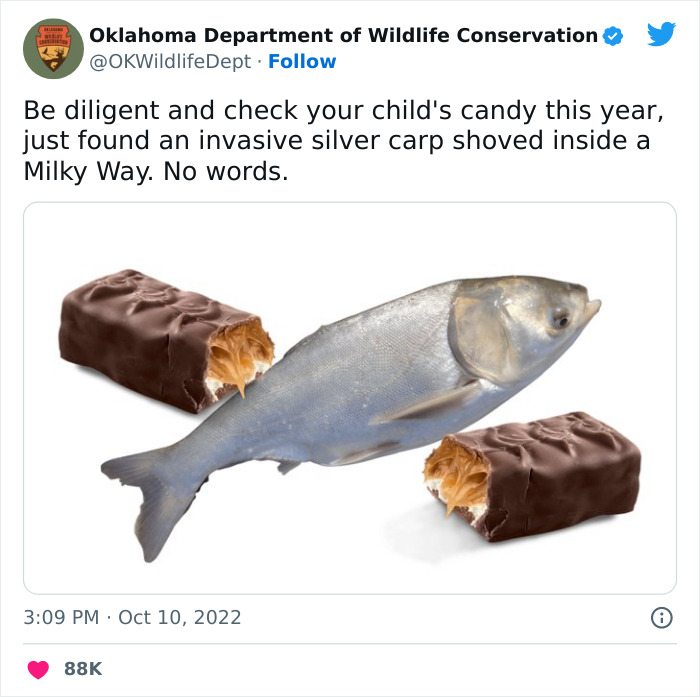 Oklahoma-Wildlife-Conservation-Department-Twitter