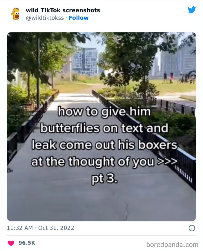 Wild-Screenshots-From-Tiktok