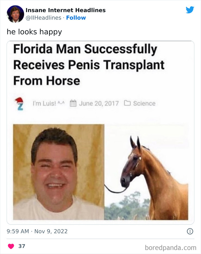 Funny-Insane-Internet-Headlines