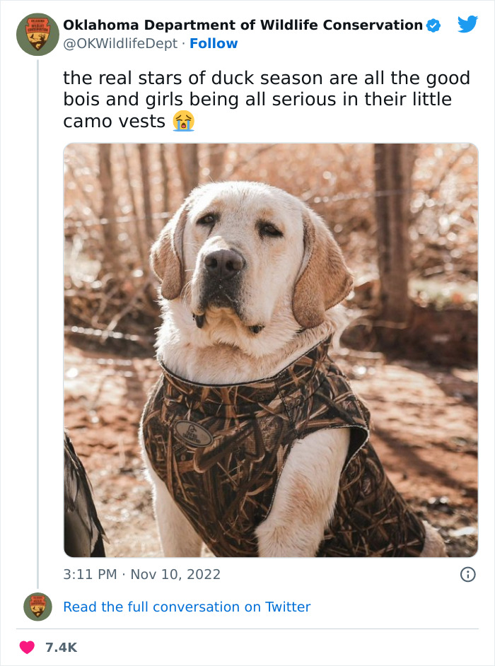 Oklahoma-Wildlife-Conservation-Department-Twitter