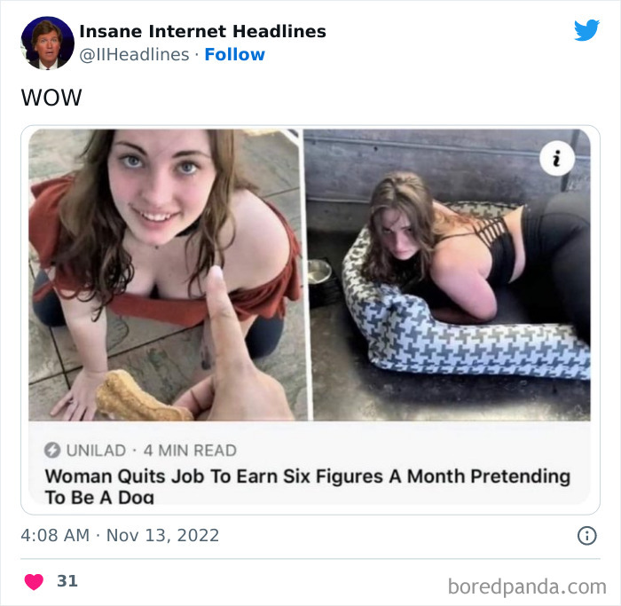 Funny-Insane-Internet-Headlines