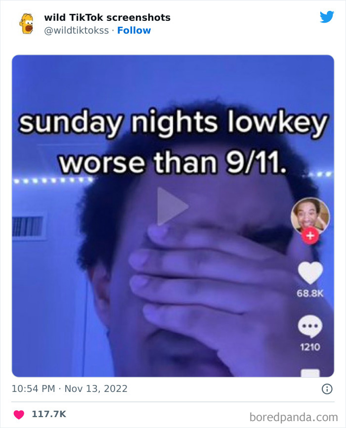 Wild-Screenshots-From-Tiktok