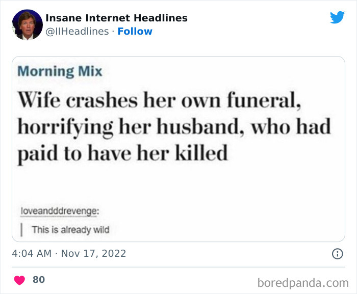 Funny-Insane-Internet-Headlines