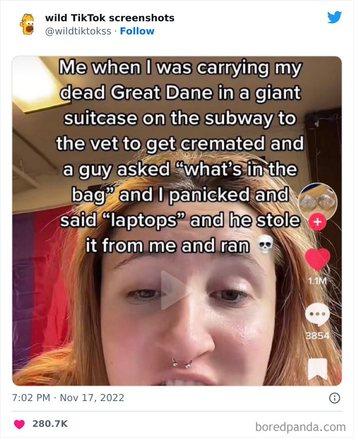 Wild-Screenshots-From-Tiktok